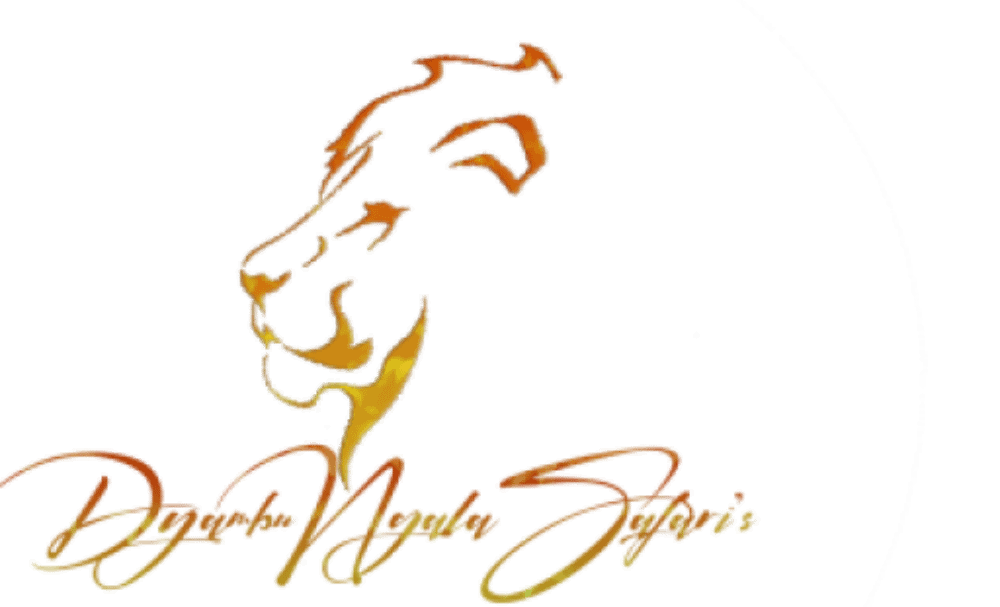 Sun Lion Safari's